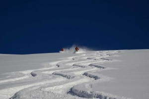powder skiiing