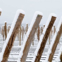 argentina ski fence